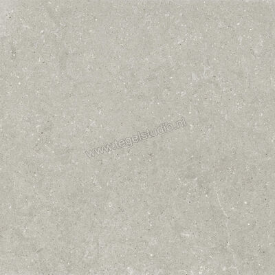  Del Conca Wild Grey 120x120 cm Vloertegel / Wandtegel Mat Vlak Naturale GRWD05R | 410205