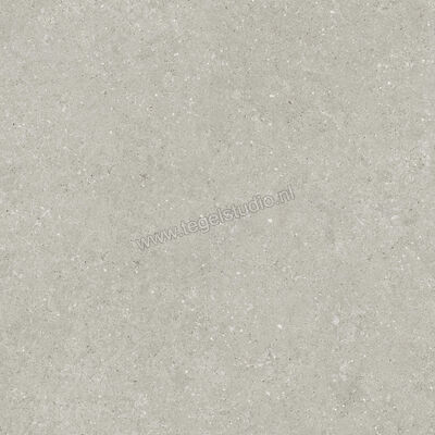  Del Conca Wild Grey 120x120 cm Vloertegel / Wandtegel Mat Vlak Naturale GRWD05R | 410208