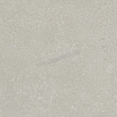  Del Conca Wild Grey 120x120 cm Vloertegel / Wandtegel Mat Vlak Naturale GRWD05R | 410211