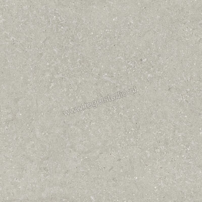  Del Conca Wild Grey 120x120 cm Vloertegel / Wandtegel Mat Vlak Naturale GRWD05R | 410214