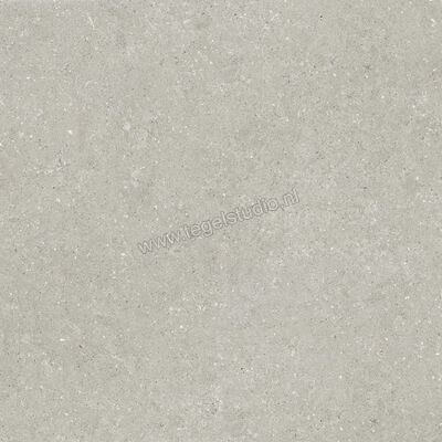  Del Conca Wild Grey 120x120 cm Vloertegel / Wandtegel Mat Vlak Naturale GRWD05R | 410217