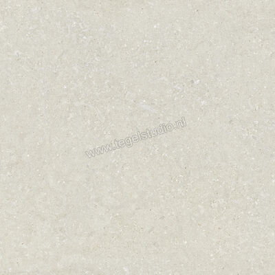  Del Conca Wild White 120x120 cm Vloertegel / Wandtegel Mat Vlak Naturale GRWD10R | 410229