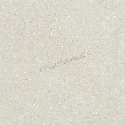  Del Conca Wild White 120x120 cm Vloertegel / Wandtegel Mat Vlak Naturale GRWD10R | 410235