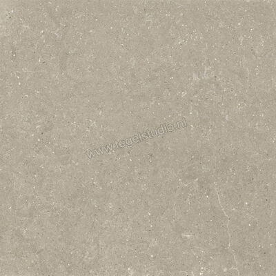  Del Conca Wild Greige 120x120 cm Vloertegel / Wandtegel Mat Vlak Naturale GRWD11R | 410238
