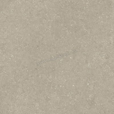  Del Conca Wild Greige 120x120 cm Vloertegel / Wandtegel Mat Vlak Naturale GRWD11R | 410241