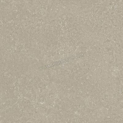  Del Conca Wild Greige 120x120 cm Vloertegel / Wandtegel Mat Vlak Naturale GRWD11R | 410244
