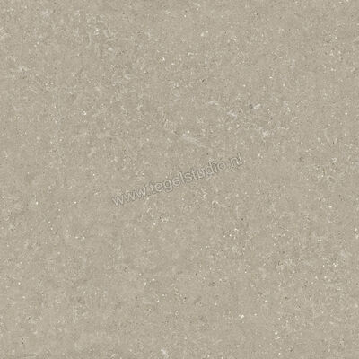  Del Conca Wild Greige 120x120 cm Vloertegel / Wandtegel Mat Vlak Naturale GRWD11R | 410247