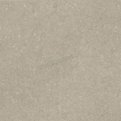  Del Conca Wild Greige 120x120 cm Vloertegel / Wandtegel Mat Vlak Naturale GRWD11R | 410250