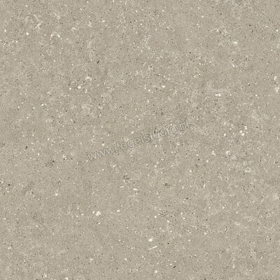  Del Conca Wild Greige 120x120 cm Vloertegel / Wandtegel Mat Vlak Naturale GRWD11R | 410253