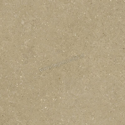  Del Conca Wild Beige 80x80 cm Vloertegel / Wandtegel Mat Vlak Naturale GTWD01R | 410256
