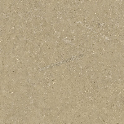  Del Conca Wild Beige 80x80 cm Vloertegel / Wandtegel Mat Vlak Naturale GTWD01R | 410259