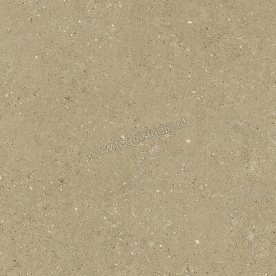  Del Conca Wild Beige 80x80 cm Vloertegel / Wandtegel Mat Vlak Naturale GTWD01R | 410265