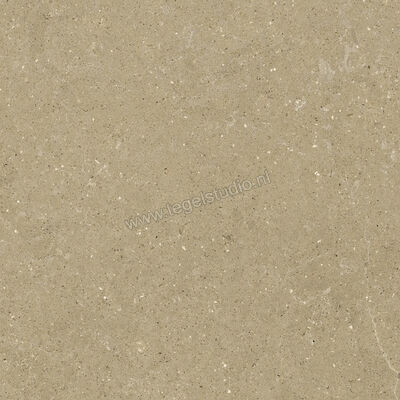  Del Conca Wild Beige 80x80 cm Vloertegel / Wandtegel Mat Vlak Naturale GTWD01R | 410268
