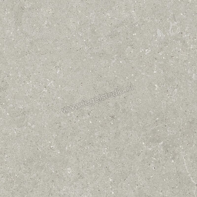  Del Conca Wild Grey 80x80 cm Vloertegel / Wandtegel Mat Vlak Naturale GTWD05R | 410271