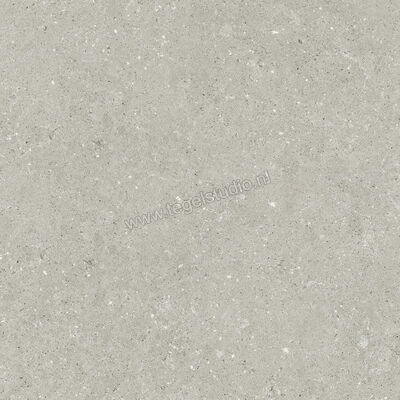  Del Conca Wild Grey 80x80 cm Vloertegel / Wandtegel Mat Vlak Naturale GTWD05R | 410274