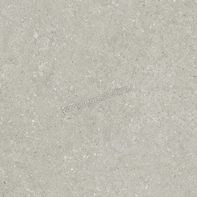  Del Conca Wild Grey 80x80 cm Vloertegel / Wandtegel Mat Vlak Naturale GTWD05R | 410283