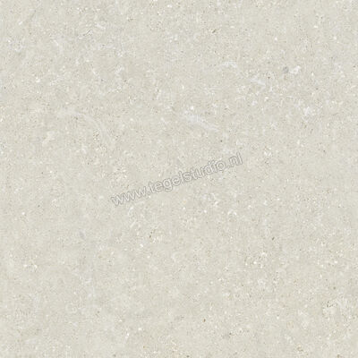  Del Conca Wild White 80x80 cm Vloertegel / Wandtegel Mat Vlak Naturale GTWD10R | 410295