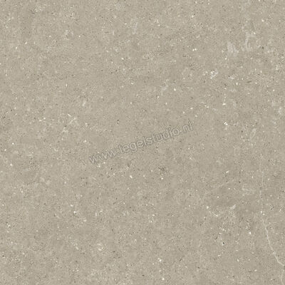  Del Conca Wild Greige 80x80 cm Vloertegel / Wandtegel Mat Vlak Naturale GTWD11R | 410301