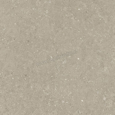  Del Conca Wild Greige 80x80 cm Vloertegel / Wandtegel Mat Vlak Naturale GTWD11R | 410304