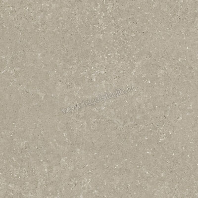  Del Conca Wild Greige 80x80 cm Vloertegel / Wandtegel Mat Vlak Naturale GTWD11R | 410307