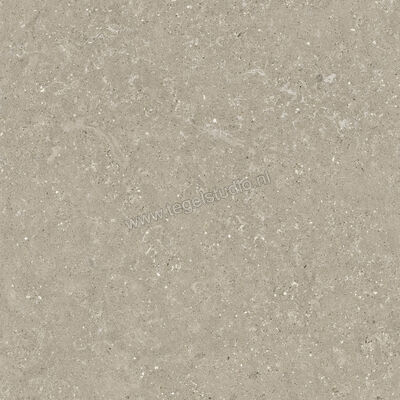  Del Conca Wild Greige 80x80 cm Vloertegel / Wandtegel Mat Vlak Naturale GTWD11R | 410310