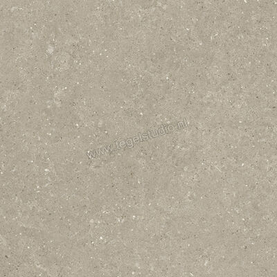  Del Conca Wild Greige 80x80 cm Vloertegel / Wandtegel Mat Vlak Naturale GTWD11R | 410313