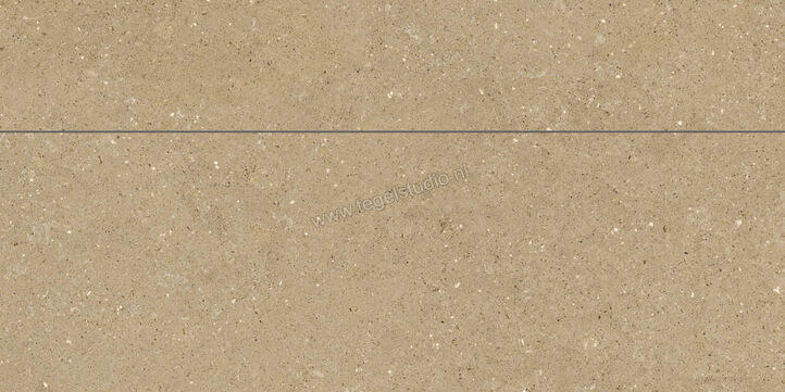  Del Conca Wild Beige 60x120 cm Wandtegel Universal Mat Vlak Naturale GCWD01MO | 410316