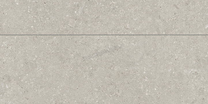 Del Conca Wild Grey 60x120 cm Wandtegel Universal Mat Vlak Naturale GCWD05MO | 410319