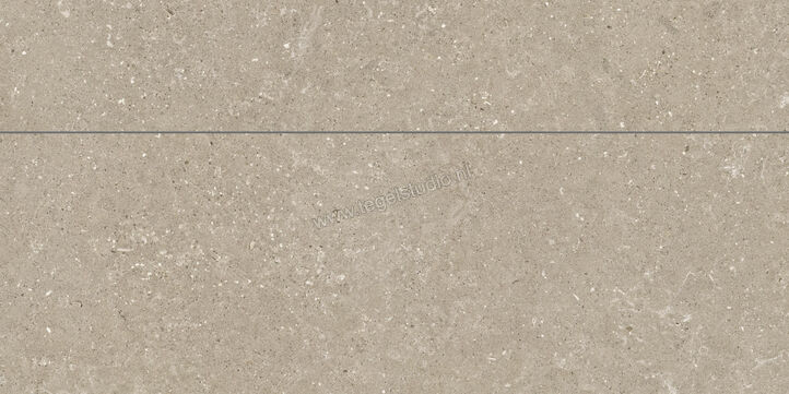  Del Conca Wild Greige 60x120 cm Wandtegel Universal Mat Vlak Naturale GCWD11MO | 410325