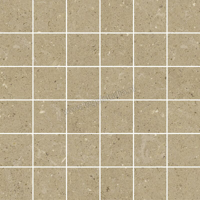  Del Conca Wild Beige 30x30 cm Mozaiek Mat Vlak Naturale G3WD01MO | 410328