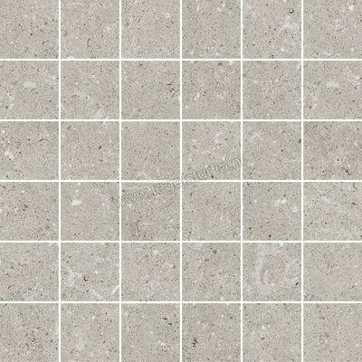  Del Conca Wild Grey 30x30 cm Mozaiek Mat Vlak Naturale G3WD05MO | 410334
