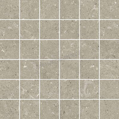  Del Conca Wild Greige 30x30 cm Mozaiek Mat Vlak Naturale G3WD11MO | 410346