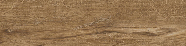  Del Conca Foreste d'Italia Noce 30x120 cm Vloertegel / Wandtegel Mat Gestructureerd Naturale 31FI09RJ | 410577