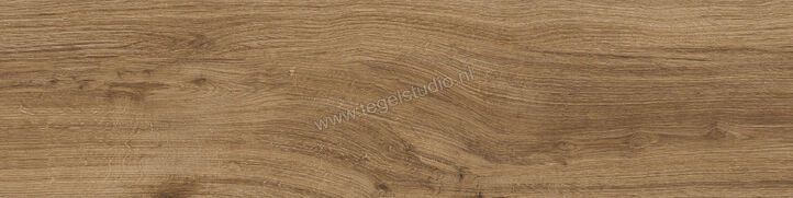  Del Conca Foreste d'Italia Noce 30x120 cm Vloertegel / Wandtegel Mat Gestructureerd Naturale 31FI09RJ | 410589