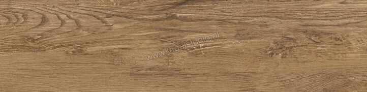  Del Conca Foreste d'Italia Noce 30x120 cm Vloertegel / Wandtegel Mat Gestructureerd Naturale 31FI09RJ | 410592