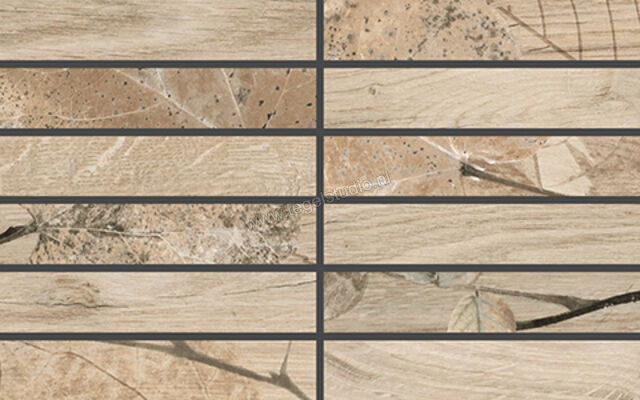  Del Conca Foreste d'Italia Beige 20x32 cm Mozaiek Mat Gestructureerd Naturale 27FI01MO | 410622