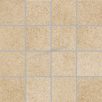  Villeroy & Boch X-Plane Beige 30x30 cm Mozaiek 7,5x7,5 cm Mat Vlak Vilbostoneplus 2362 ZM20 5 | 411537