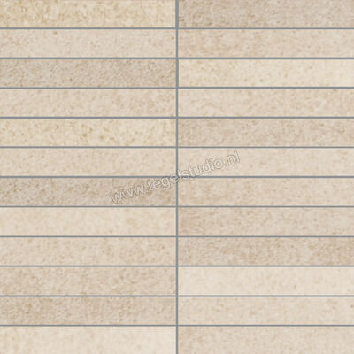  Villeroy & Boch X-Plane Creme 30x30 cm Mozaiek 2,5x15 cm Mat Vlak Vilbostoneplus 2354 ZM10 5 | 411561