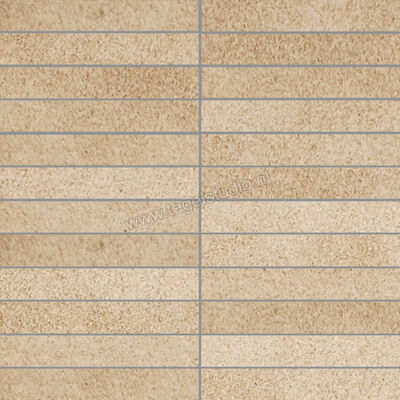  Villeroy & Boch X-Plane Beige 30x30 cm Mozaiek 2,5x15 cm Mat Vlak Vilbostoneplus 2354 ZM20 5 | 411564