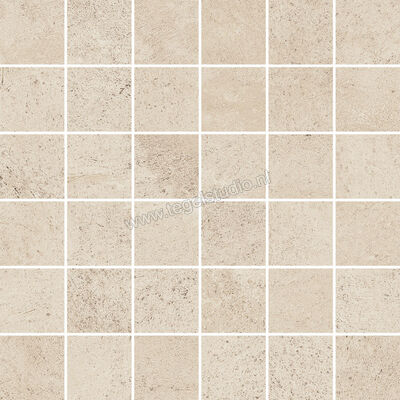  Villeroy & Boch Unit Five Creme 5x5 cm Mozaiek 5x5 Mat Vlak Vilbostone, VilbostonePlus 2706 FT10 8 | 411663