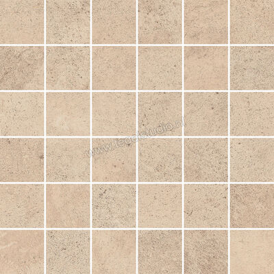  Villeroy & Boch Unit Five Taupe 5x5 cm Mozaiek 5x5 Mat Vlak Vilbostone, VilbostonePlus 2706 FT70 8 | 411672