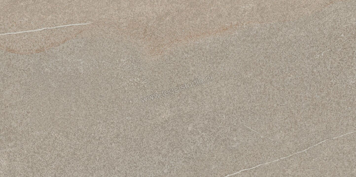  Imola Ceramica The Rock Piasentina 60x120 cm Vloertegel / Wandtegel Mat Vlak Naturale PIASEN 12 RM | 413539