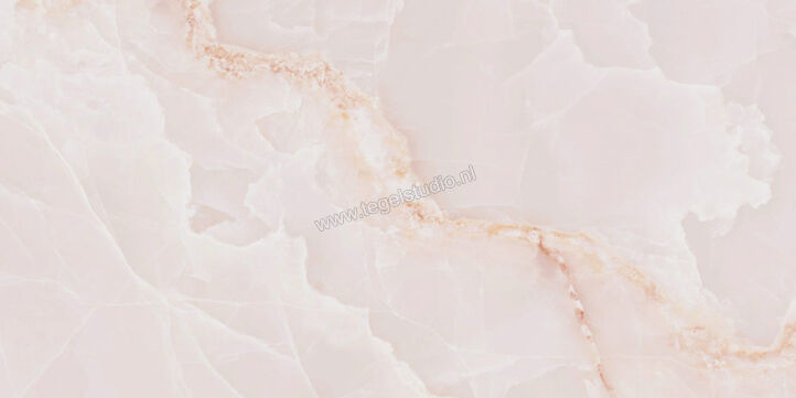  Emilceramica Tele Di Marmo Onyx Onyx Pink 60x120 cm Vloertegel / Wandtegel Mat Vlak Silktech EKT9 | 416005