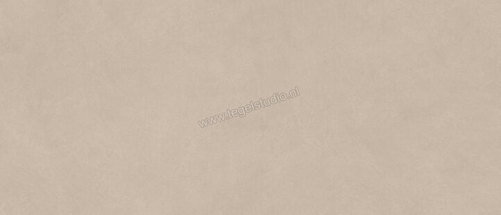  Atlas Concorde Boost Natural Ash 50x120 cm Wandtegel Mat Vlak Naturale A64Q | 416281