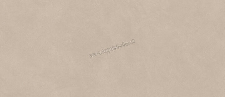  Atlas Concorde Boost Natural Ash 50x120 cm Wandtegel Mat Vlak Naturale A64Q | 416284