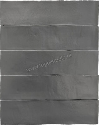  Revoir Paris Provence Gris Beton 6.2x25 cm Wandtegel Mat Vlak Mat WW 041 | 417235