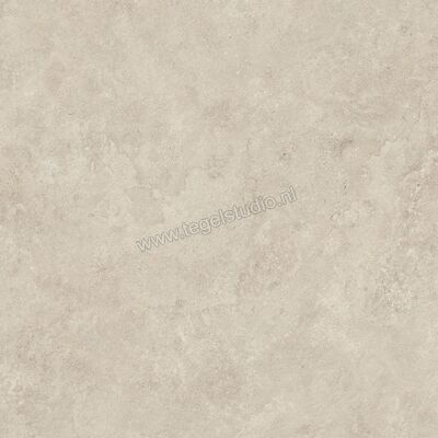  Atlas Concorde Boost Icor Outdoor Dust 80x80x2 cm Terrastegel Mat Vlak Sensitech HBAY | 417703