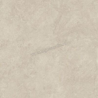  Atlas Concorde Boost Icor Outdoor Dust 80x80x2 cm Terrastegel Mat Vlak Sensitech HBAY | 417709