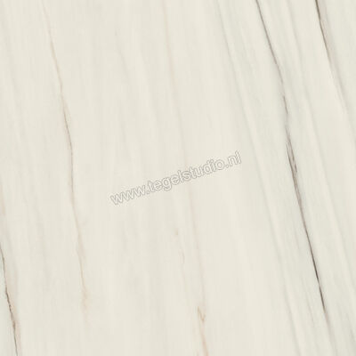  Atlas Concorde Marvel Dream Bianco Fantastico 120x120 cm Vloertegel / Wandtegel Mat Vlak Sensitech A203 | 418168