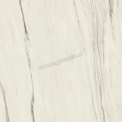  Atlas Concorde Marvel Dream Bianco Fantastico 120x120 cm Vloertegel / Wandtegel Mat Vlak Sensitech A203 | 418174
